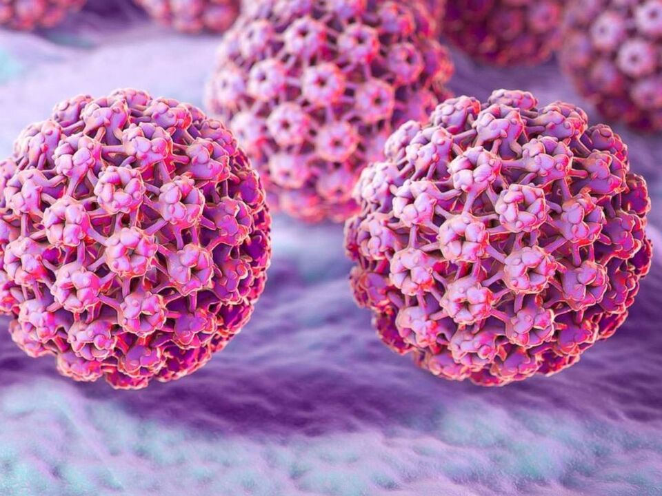 clasificación del virus del papiloma